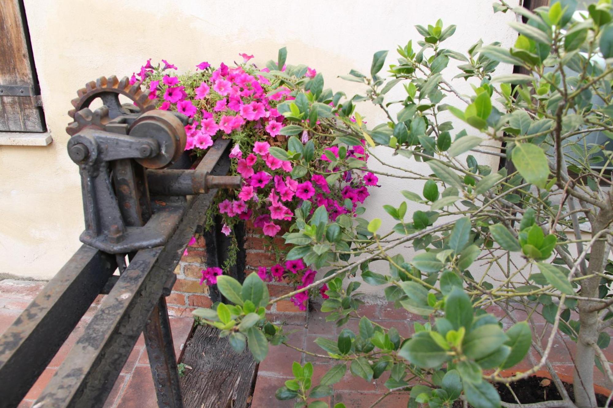 La Vecchia Cartiera Hotel Colle Val D'Elsa Luaran gambar